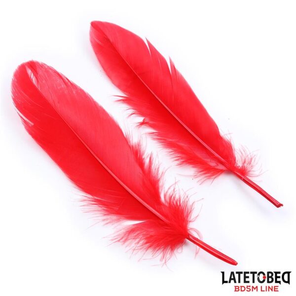 Ensemble 3 Pièces, Masque, Plumes et Menottes Latetobed BDSM Line – Image 5